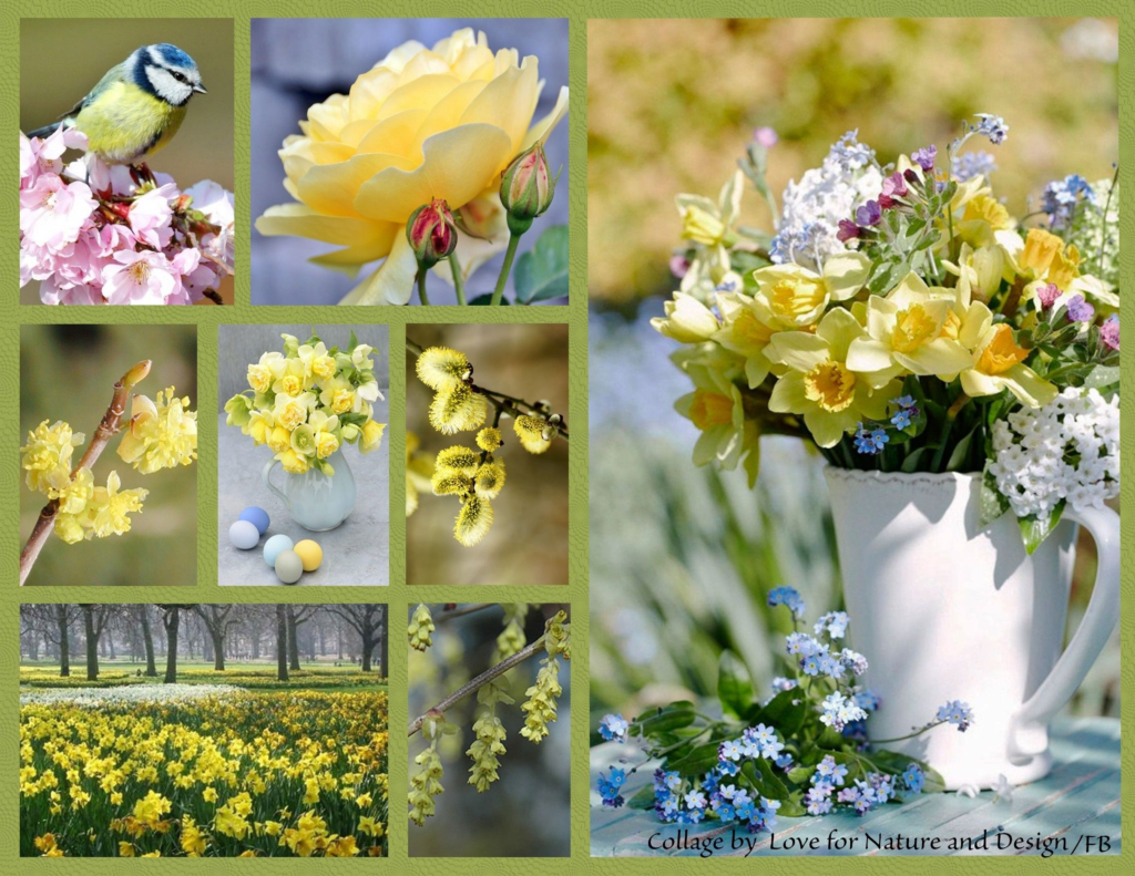 Spring Collage - If you can dream it, you can do it!